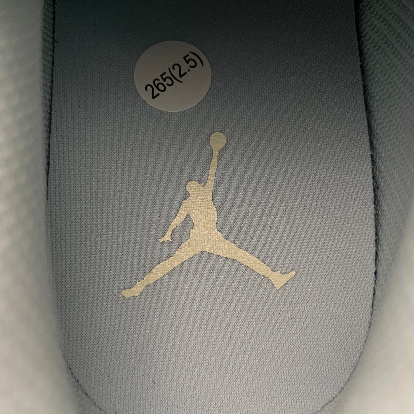 Nike Air Jordan 1 Low SE "Glacier Blue/Summit White/Guava Ice/Sea Glass"