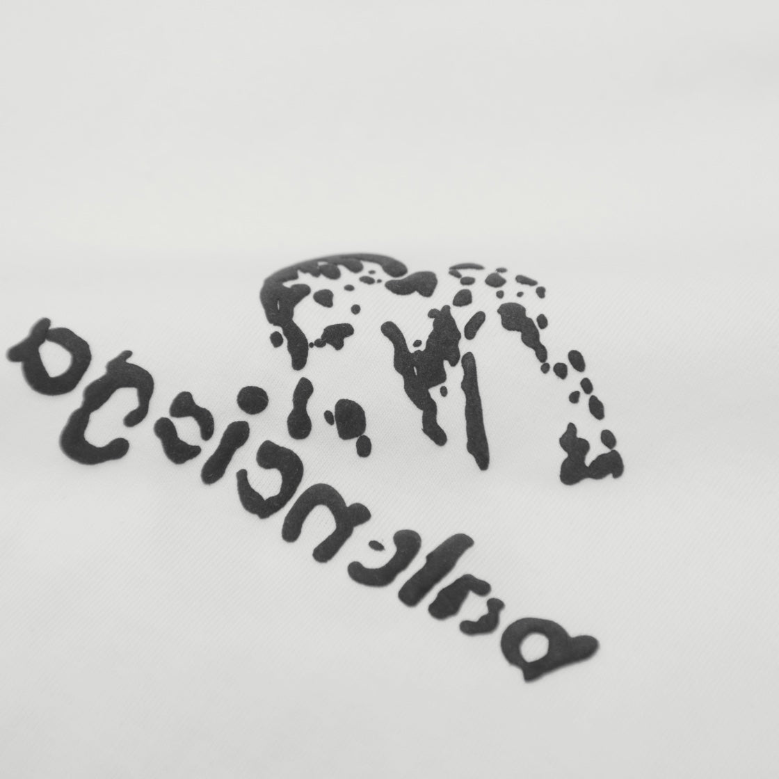 Balenciaga printed t-T-shirt