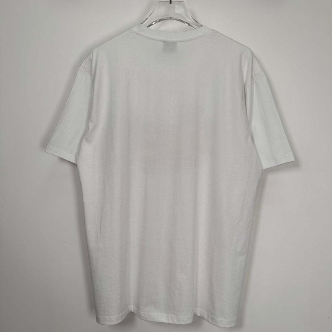Stussy 23SS STARS TEE "White"