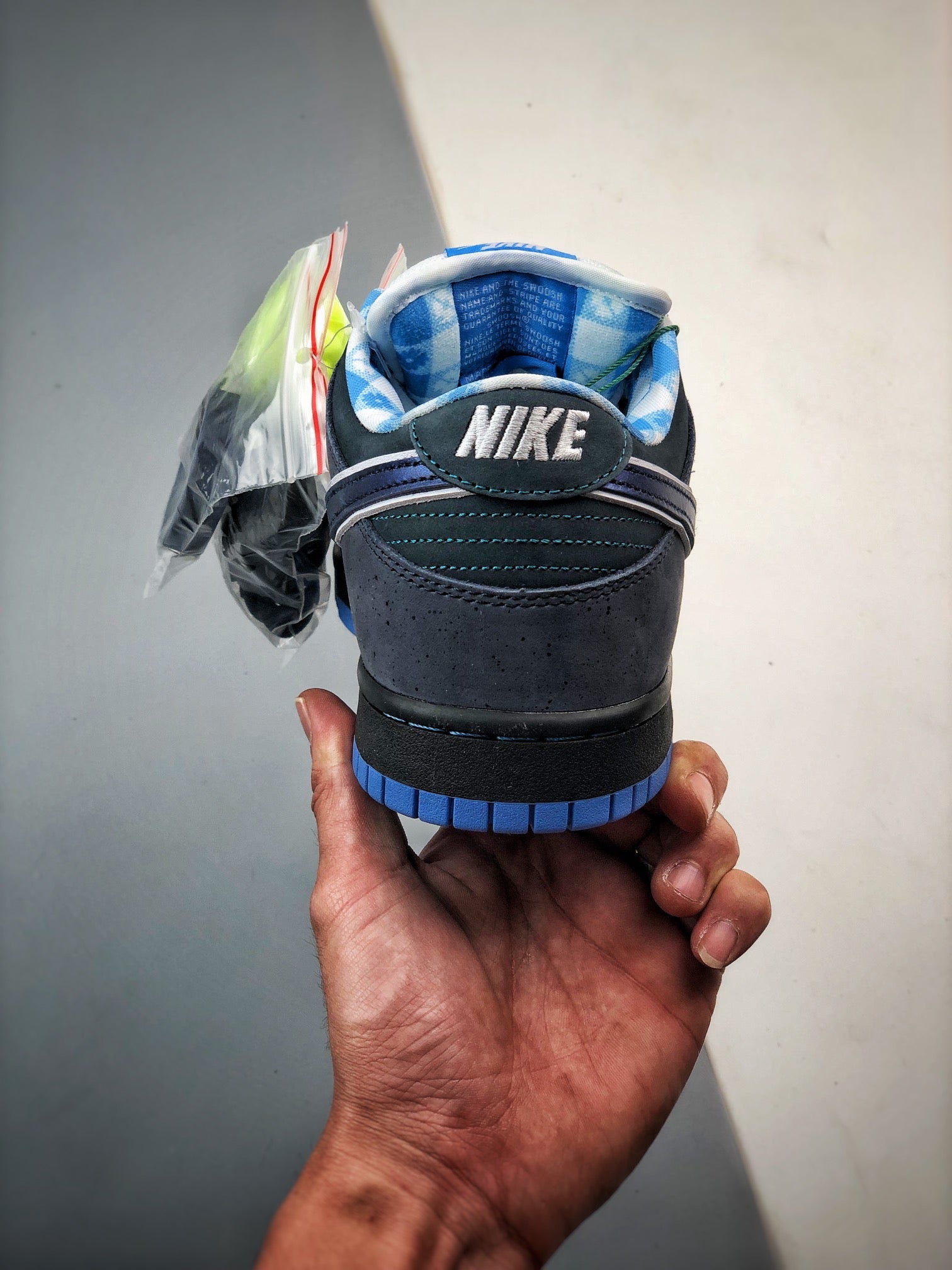 Concepts × Nike SB Dunk Low "Blue Lobster"