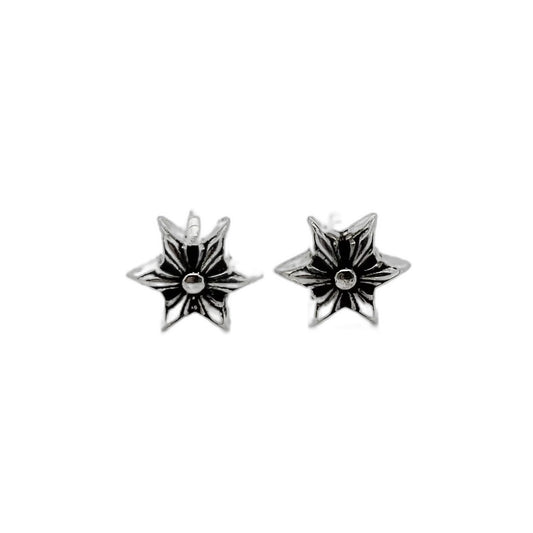 CHROME HEARTS Hexagram Earrings