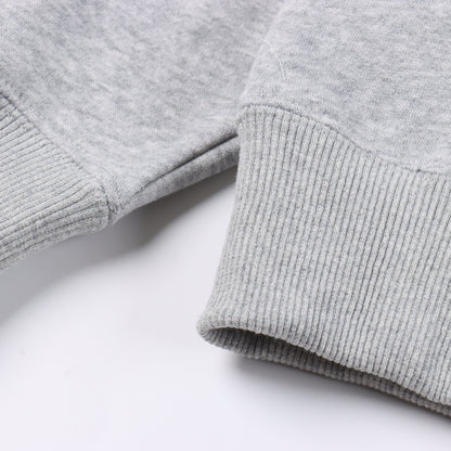 Stussy xNike Logo sports fleece sweatshirt "grey"