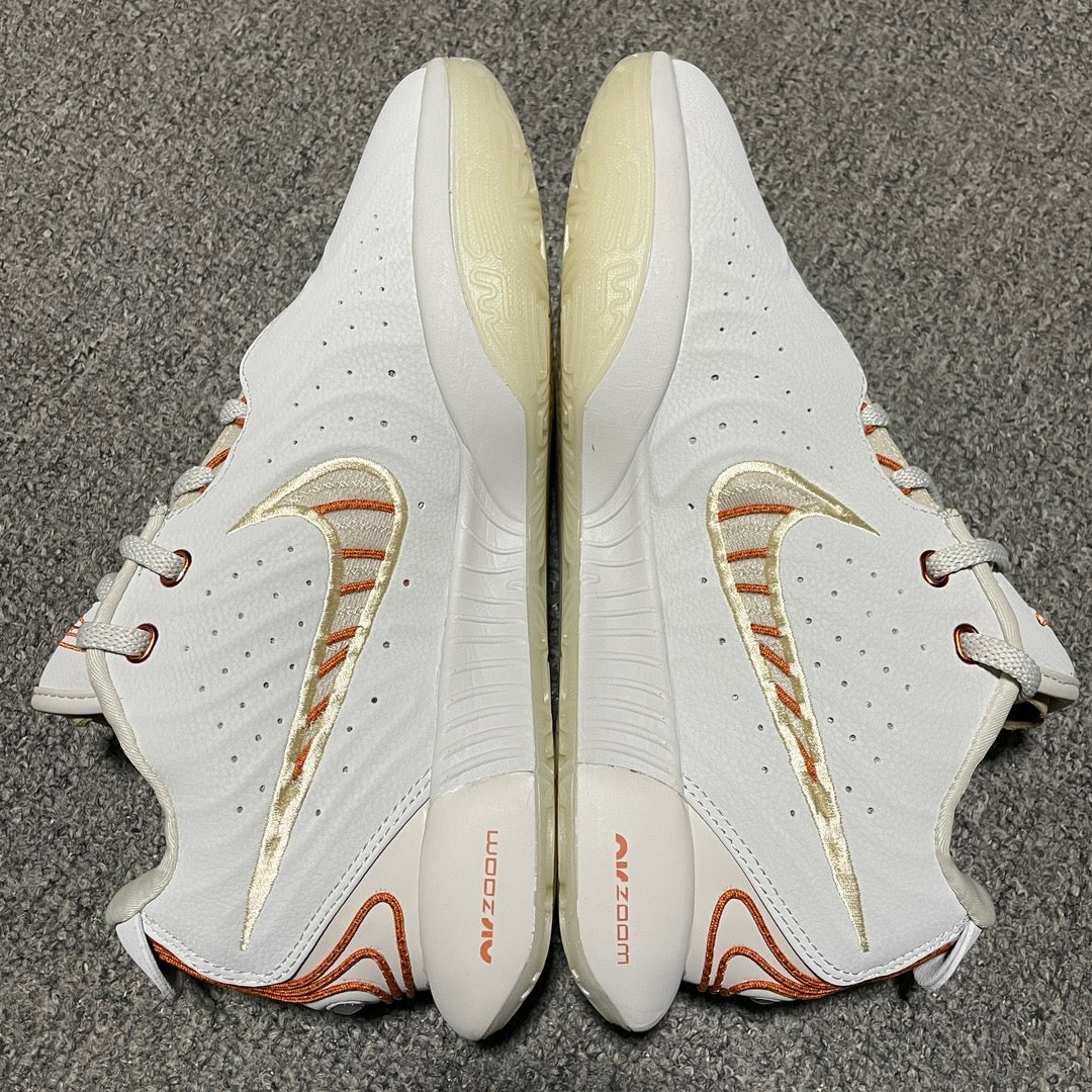 Nike Men's Basketball Shoes LEBRON XXI EP