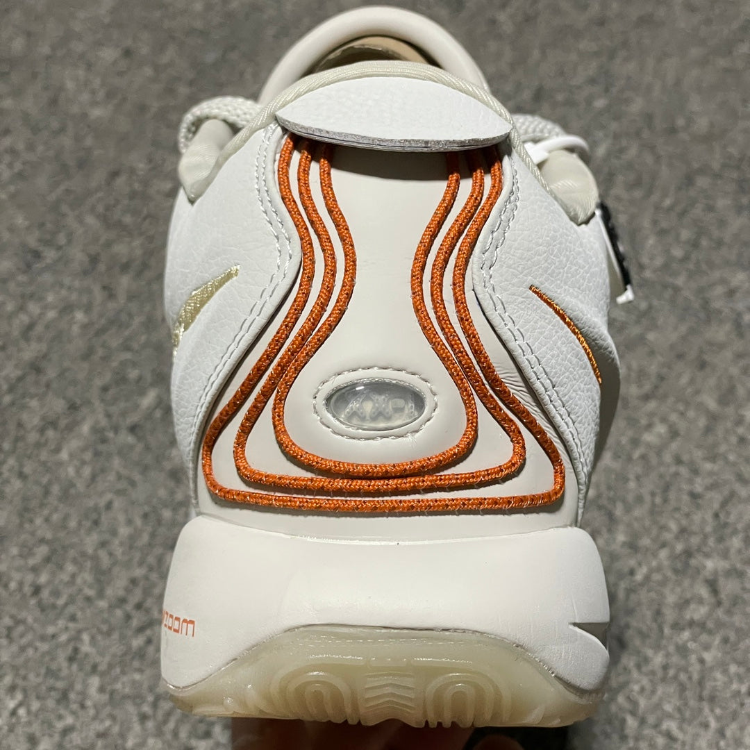 Nike Men's Basketball Shoes LEBRON XXI EP