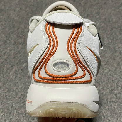 Nike Men's Basketball Shoes LEBRON XXI EP