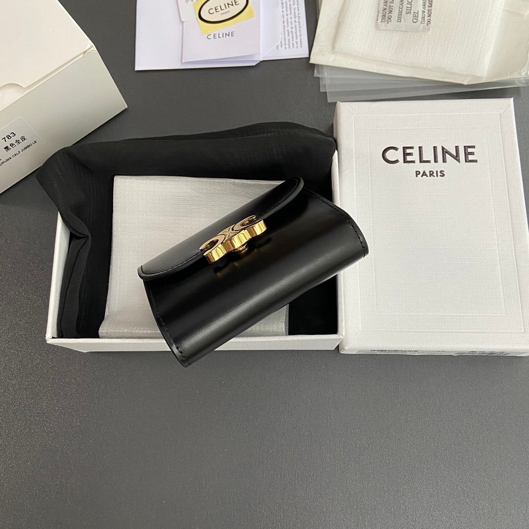 Celine Small Flap Wallet TRIOMPHE in Shiny calfskin
