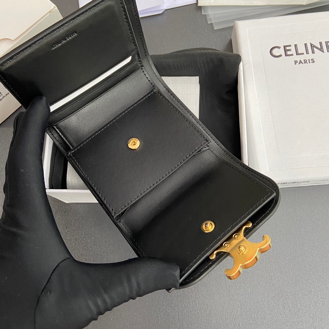 Celine Small Flap Wallet TRIOMPHE in Shiny calfskin
