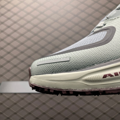 Nike Air Zoom Pegasus 41 Gore-Tex Light Pumice Burgandy Crush