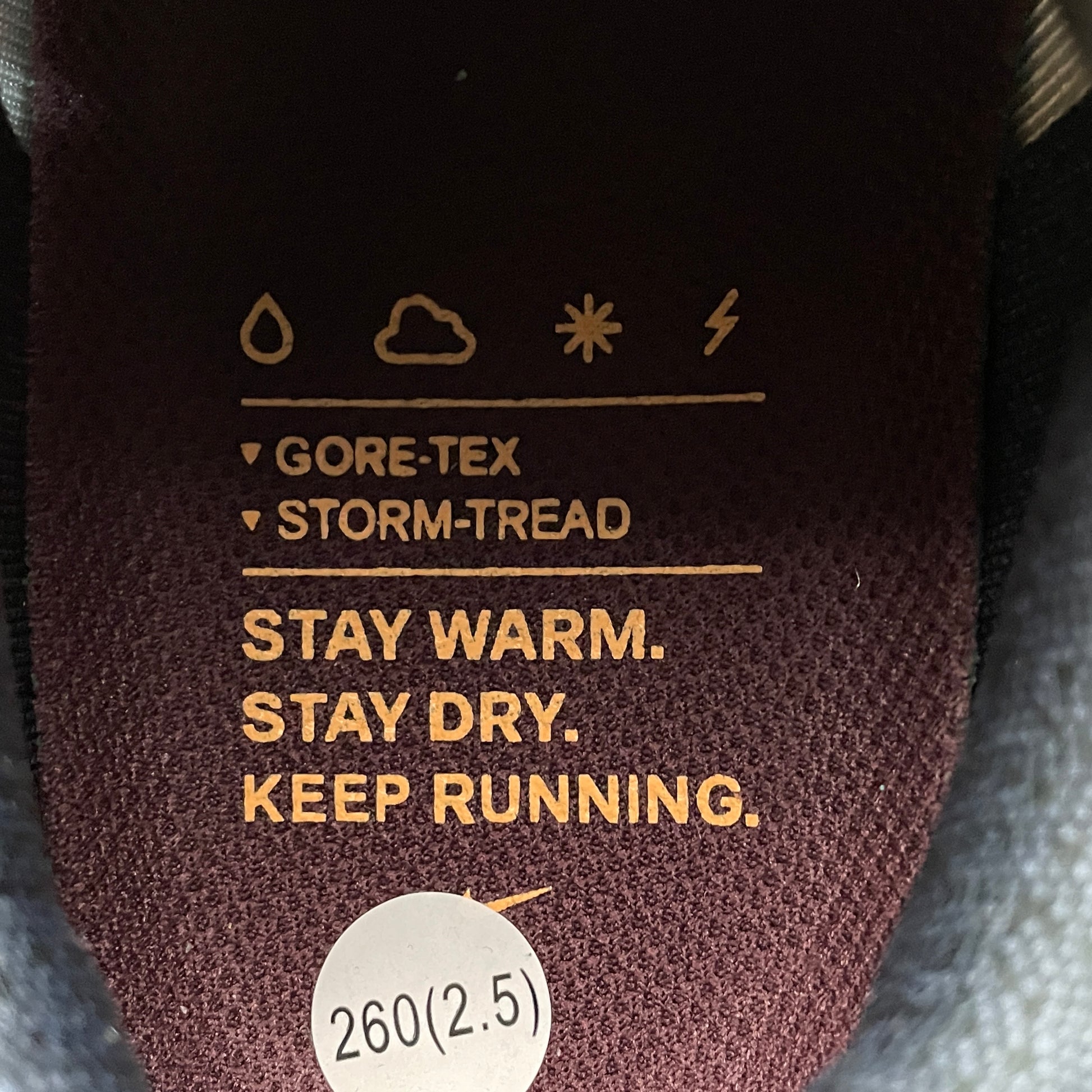 Nike Air Zoom Pegasus 41 Gore-Tex Light Pumice Burgandy Crush