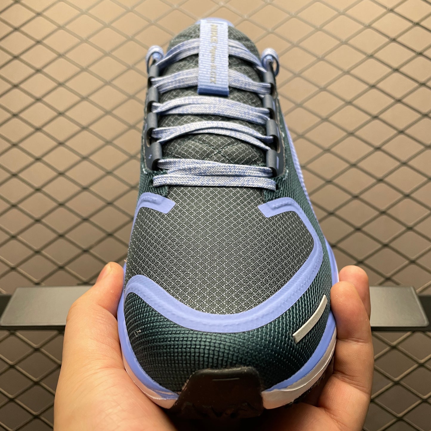 Nike Air Zoom Pegasus 41 GORE-TEX "Cobalt Bliss/Armory Navy/Royal Pulse/Metallic Red Bronze"