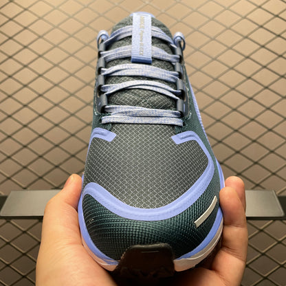 Nike Air Zoom Pegasus 41 GORE-TEX "Cobalt Bliss/Armory Navy/Royal Pulse/Metallic Red Bronze"
