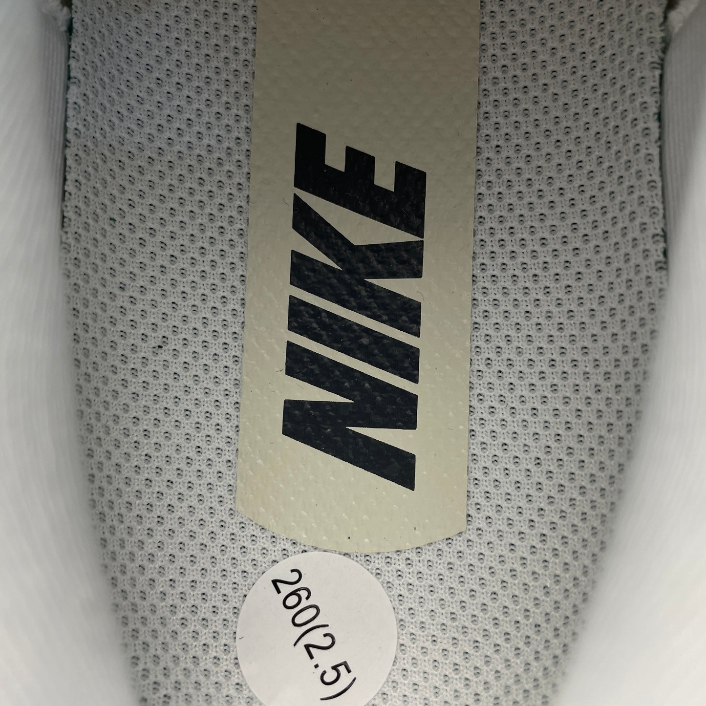 NIKE Pegasus Plus