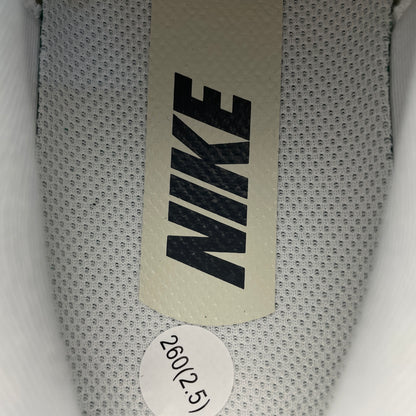 NIKE Pegasus Plus