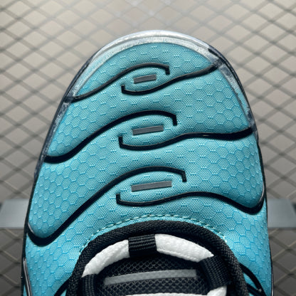 Nike Air Max Plus "Aqua/Black/White/Metallic Silver"