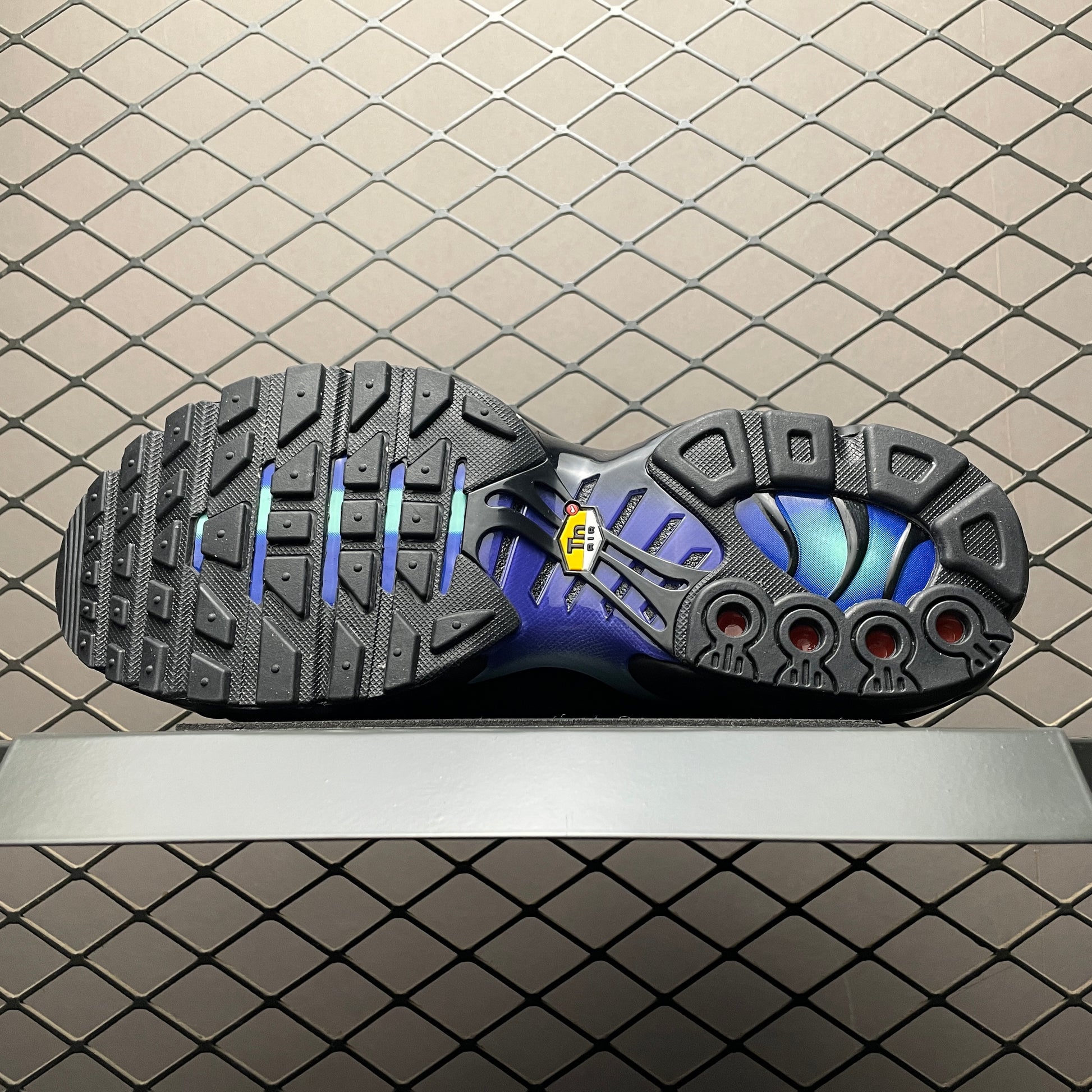 Nike Air Max Plus 'Unity'