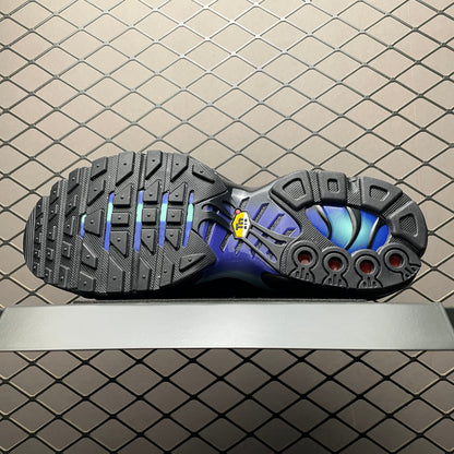 Nike Air Max Plus 'Unity'