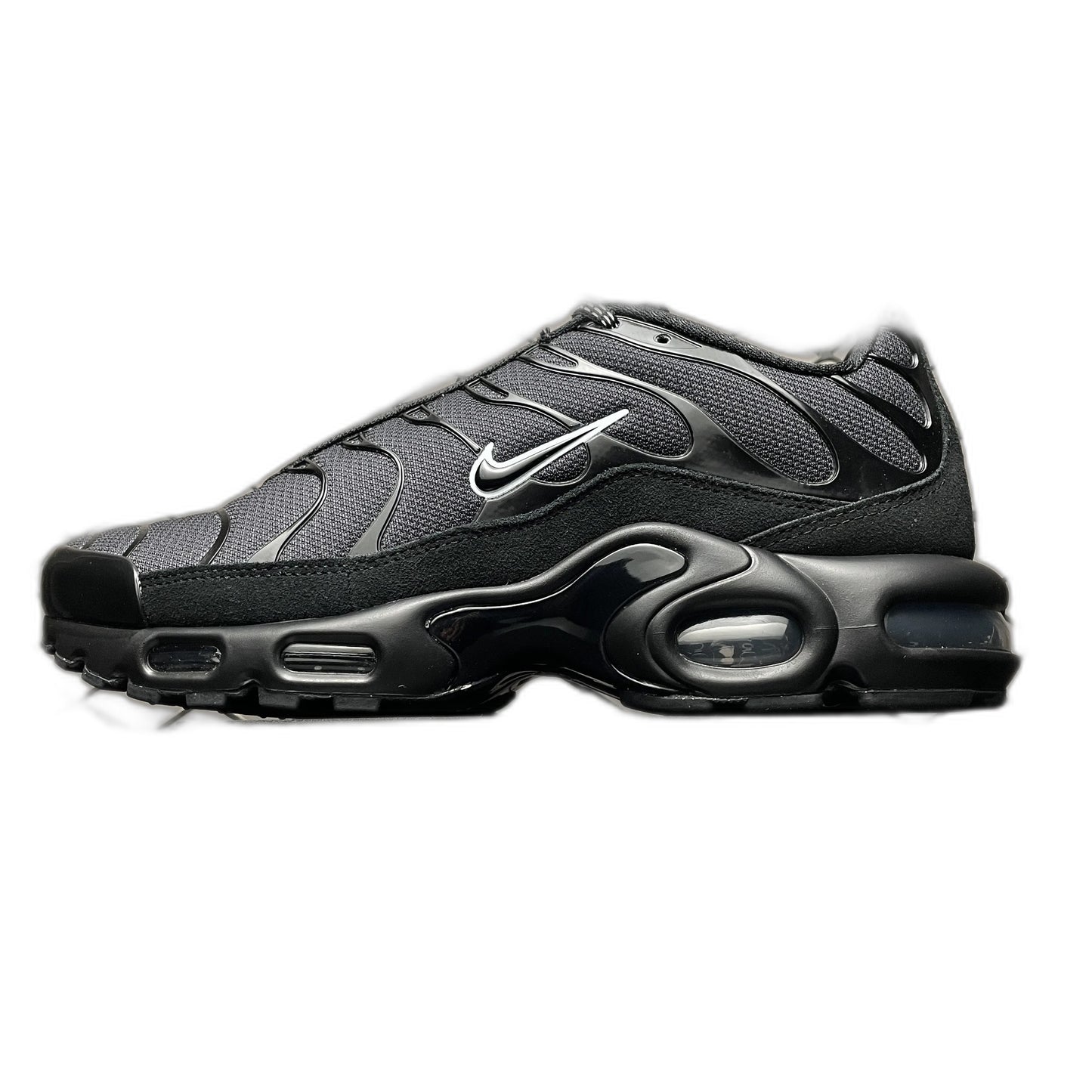 Nike Air Max Plus 'Unity'