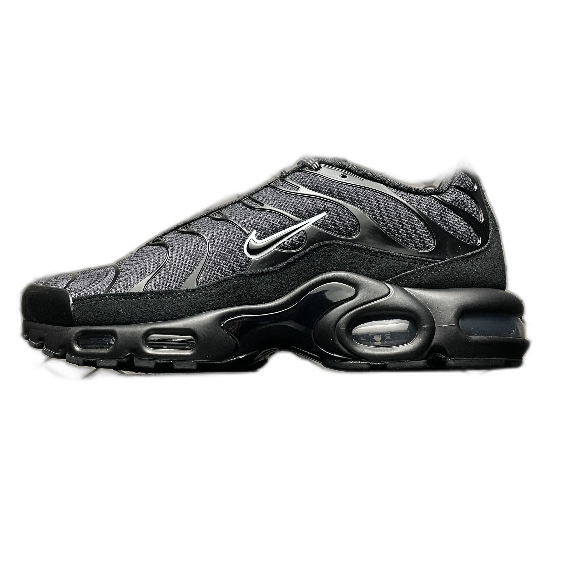 Nike Air Max Plus 'Unity'