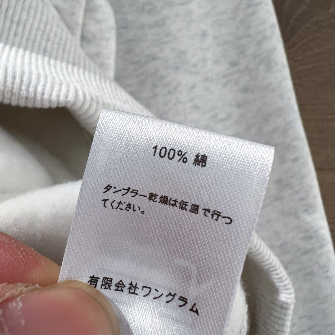 STUSSY  SHAKERS HOODIE